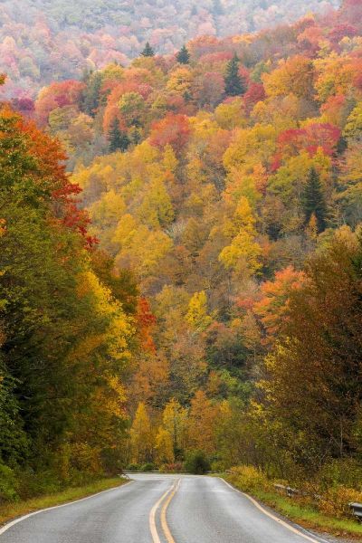 North Carolina Road through autumn forest